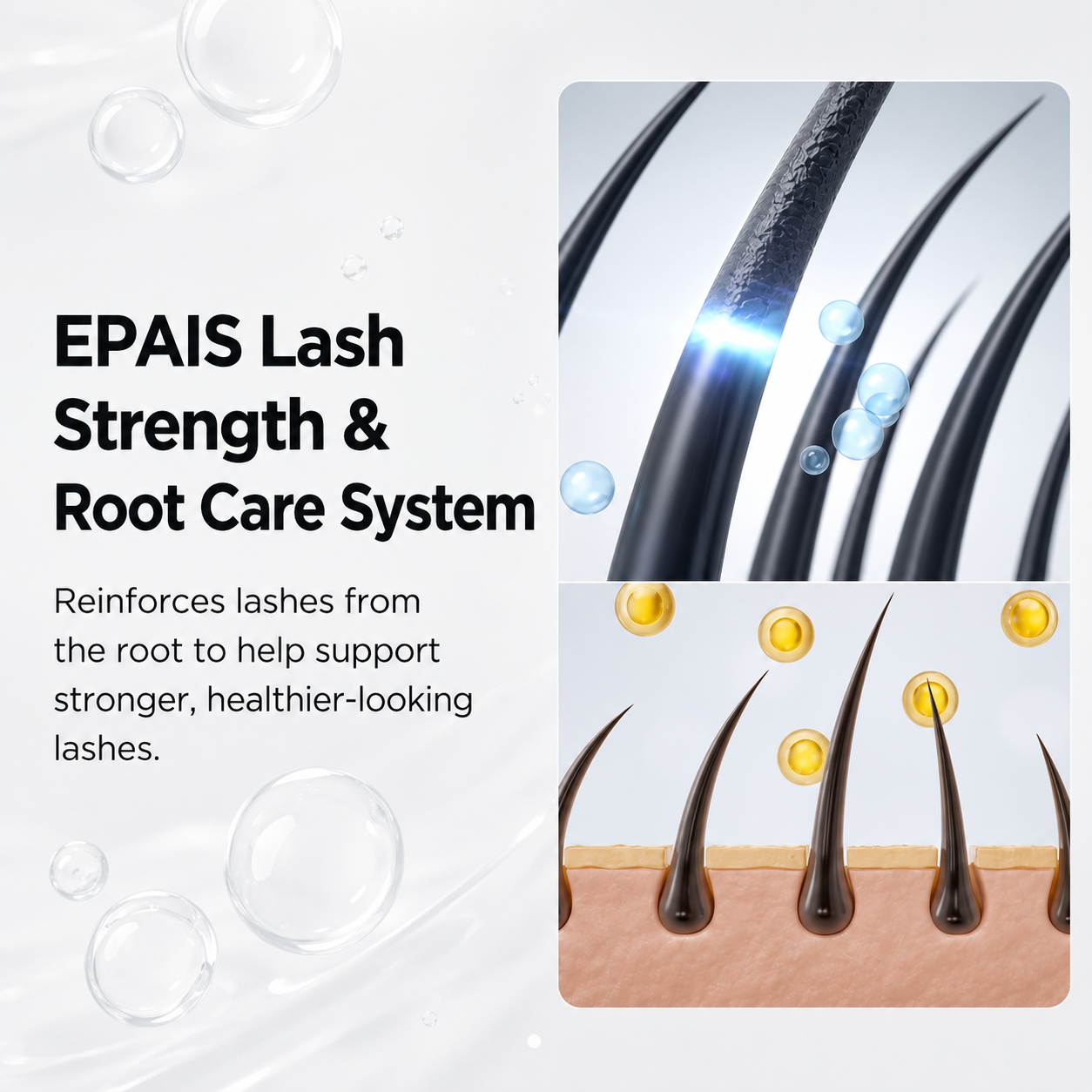 Lash strength and root care system